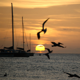 Web Imagen testimonio (6)