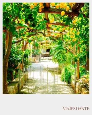 Instagram post from viajesdante. This post is in position 1.