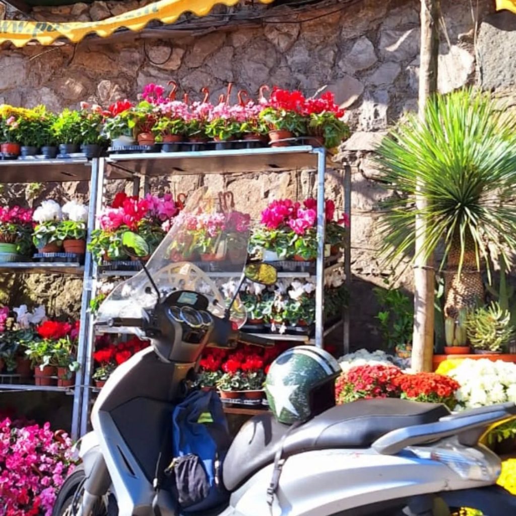 Instagram post from viajesdante. This post is in position 4.