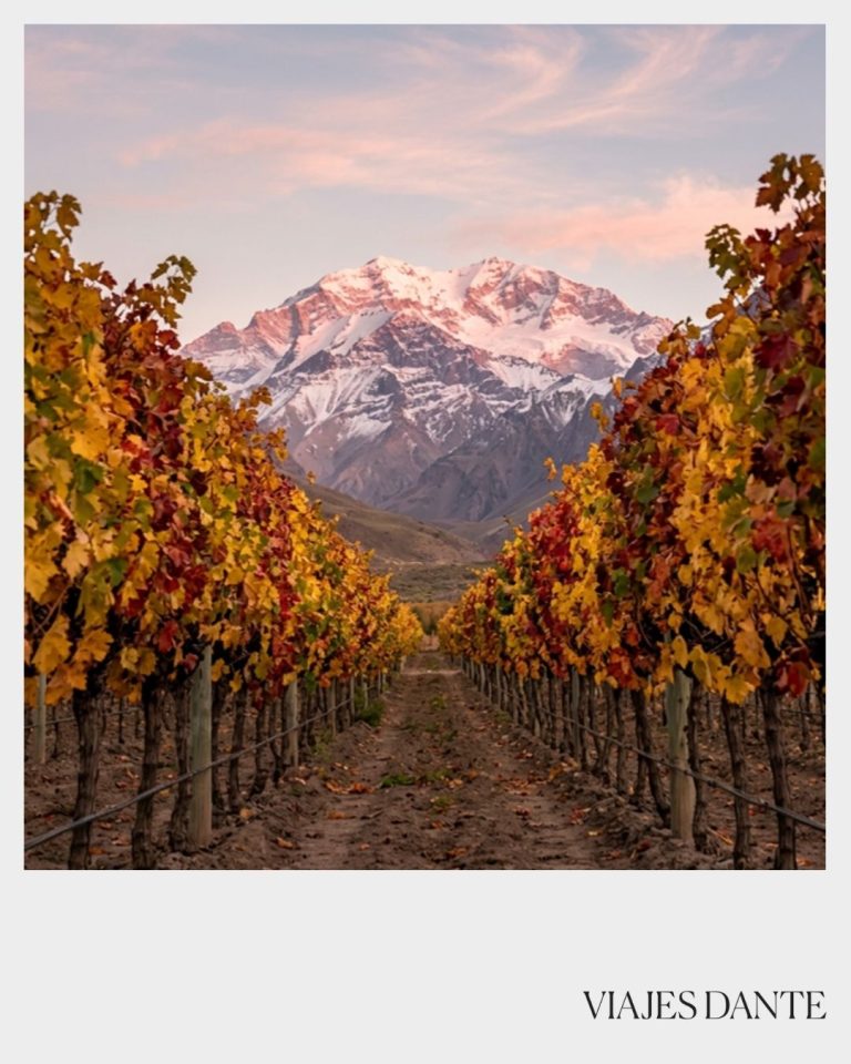 Instagram post from viajesdante. This post is in position 1.